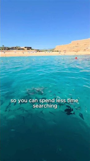 How Do You Pick the Right Cruise?
