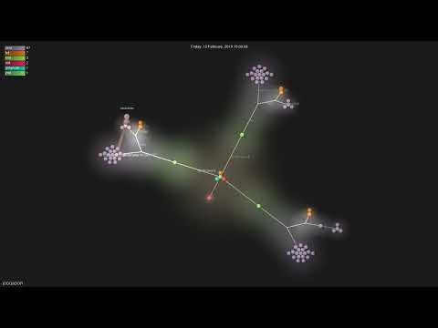 jOOQ/jOOR - Gource visualisation