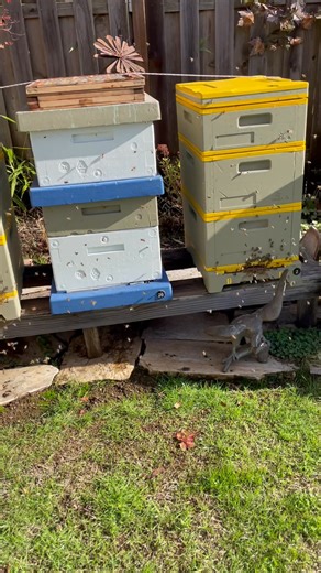 1.1K views | Dan Garrison on Reels | Facebook