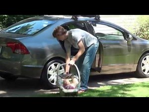 Virtual Know How - RealCare Simulator Packs