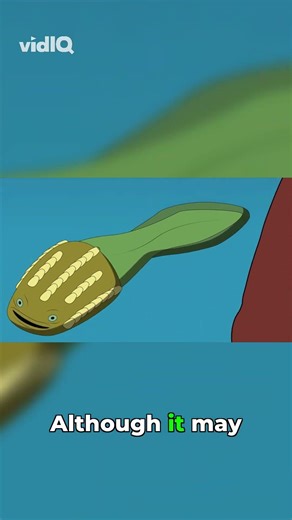 Astraspis: The Primitive Jawless Fish Unveiled!