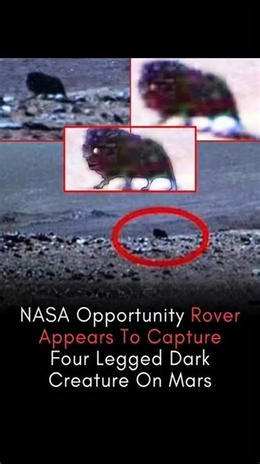 The fact Frontier on Instagram: "Did NASA’s Rover Capture a Strange Four-Legged Creature on Mars? 😱🛸 Internet Erupts A mysterious image captured by NASA’s Opportunity Rover 🔴🛰️ is going viral after viewers noticed what appears to be a dark, four-legged creature-like shape on the Martian surface 👀. Some believe the figure looks animal-like, sparking intense debate about the possibility of life beyond Earth 👽. Others argue it’s simply a case of pareidolia, where the human brain interprets ro