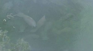 207K views · 5.2K reactions | HAPPENING NOW: Sky 13  is over Blue...