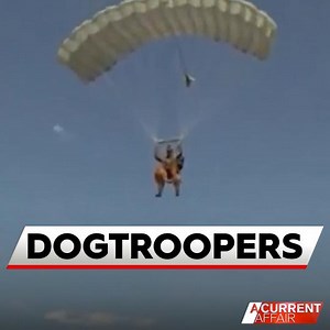 60K views · 430 reactions | Dogtroopers, assemble! Dogs have parachuted from an aircraft in Russia, flying at more than 13,000 feet as part of a military drill. The eight canines, and their handlers, known as “dogtroopers” were involved in the testing of new landing gear. #9ACA | A Current Affair | Facebook