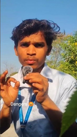 dangerous Logon Nahin Hote Jo gussa karte😡😈☠️#dangerous #shorts #nitinbhusara