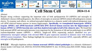 Cell Stem Cell—神经免疫研究重磅：小胶质细胞与载脂蛋白E4\"狼狈为奸\"，共同促进AD病变进展