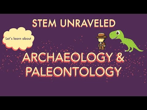 What is Archaeology and Paleontology? | STEM for Kids | Science for Kids
