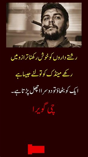 The TRUTH About Relatives! 😂 Che Guevara Best Quotes | UFB Spark #shorts