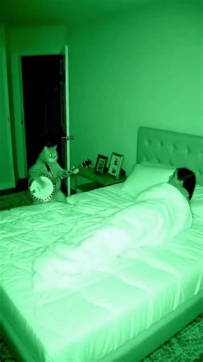 Caught on Night Vision: The 3 AM Cat Mission 🌙😼
