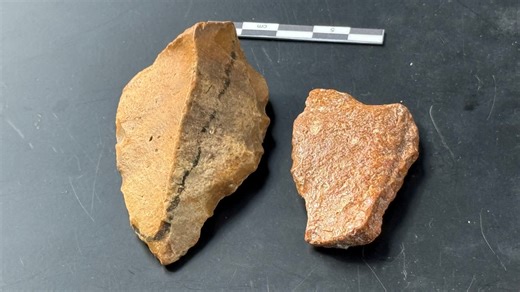 New clues to mysterious extinct ‘Hobbit’ humans uncovered by scientists