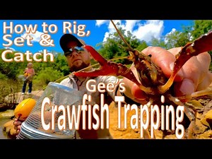 Crawfish Trapping - HOW TO RIG, SET & CATCH CRAYFISH w/ Gees Craw/Minnow Trap