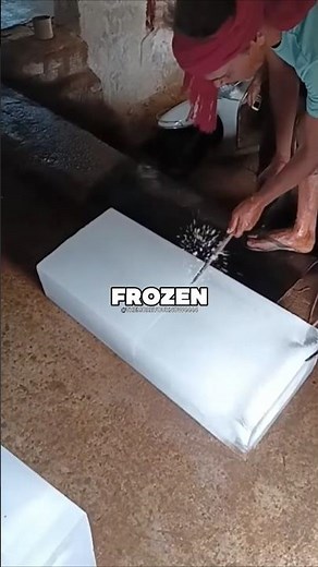 Dry Ice Is Hiding A Crazy Physics Secret 🤯🧊