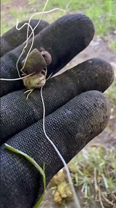 Lines and weights #environmentalcleanup #metaldetecting