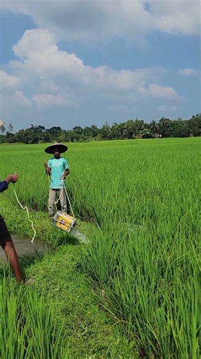 Traditional Irrigation Still Alive 🌾 Old But Gold #USA #UnitedStates