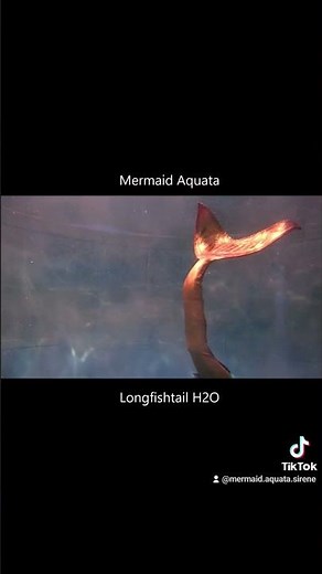 h2o real mermaid extended tail silicone