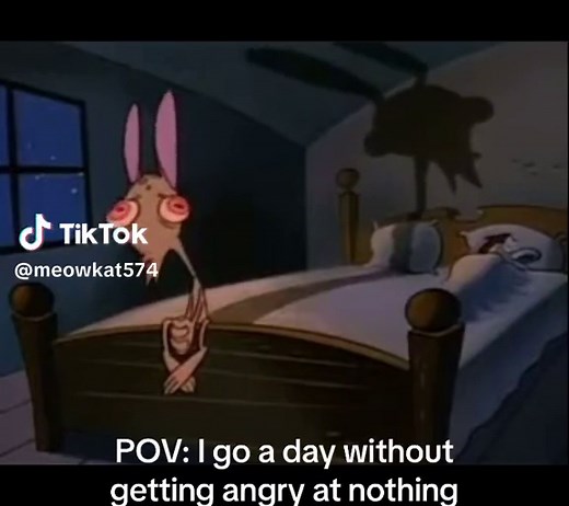 #fyp #angry #adhd #iwasnicetoday #foryoupage #asmr #lol #funny #viral #cat