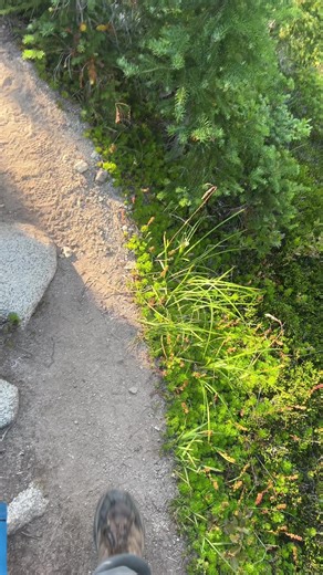 Smooookedope - - - #outdoors #nature #mountains #smokedope2016 #yunglean