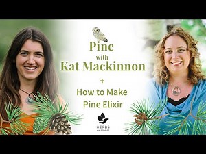 Pine with Kat Mackinnon + How to Make Pine Elixir