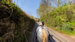 A carriage ride with Cowboy The Horse. #horses #carriagedriving #villagelife #relaxing | The Adventures Of Patrick The Pony