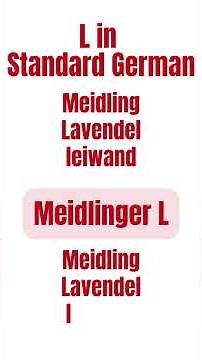 The Meidlinger L (Austrian German Insights)
