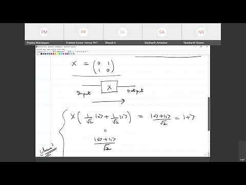 Quantum Computation and Quantum Information: Lecture 2 (Quantum Parallelism)