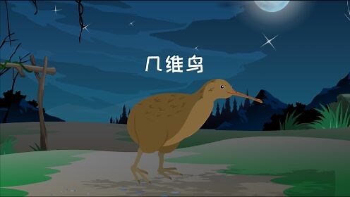 米粒计划动画科普_米粒计划动画科普_同学们，奇异鸟又名几维鸟，它是一只没有翅膀不会飞的鸟