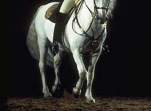 Classical dressage trainer Daniel Pevsner dies - Horse & Hound