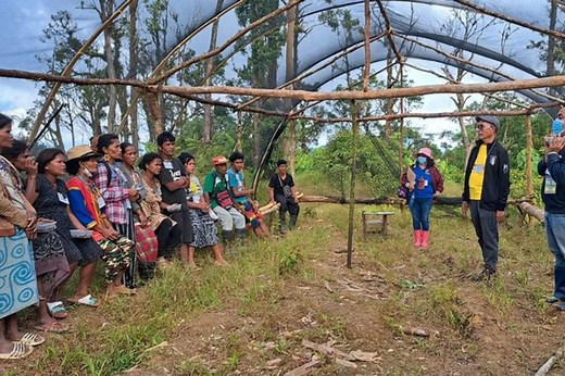 296 flora, fauna species in Mindanao mountain ranges threatened by human activities | ABS-CBN News