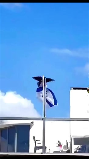 Seattle206 (@gawaan6)’s videos with Supernatural Ambient_UMA, UFO, Ghost, Haunted, Doomsday Prophecies, Alien Encounters, Life After Life, Bermuda Triangle, Psychic(1094836) - Ney