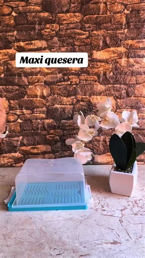 Maxi quesera Betterware #VoiceEffects #viral #betterware