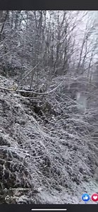 30K views · 1K reactions | RETOUR DE LA NEIGE DANS LES MONTAGNES DU SUD ! Épisode de neige ce 28 novembre 2020 dans les Pyrénées, Alpes du Sud ou encore en Corse ! Avant l’arrivée de la neige sur tous les massifs cette semaine ! Ici, au dessus du village de Limone (Piemont-Alpes du Sud-Italie). Merci à Michela Garofalo pour cette vidéo. | La Place du Village | Facebook