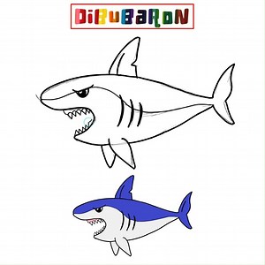 como dibujar un tiburon paso a paso | Dibujos fáciles | DibuBaron