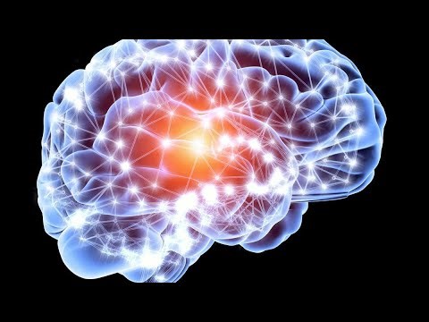 🧠 Voyage au cœur du cerveau humain