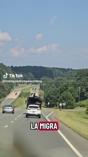 #teamtrees #animoraza #tiktok