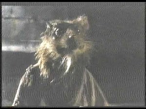 Teenage Mutant Ninja Turtles: Cowabunga (1990) VHS Capture