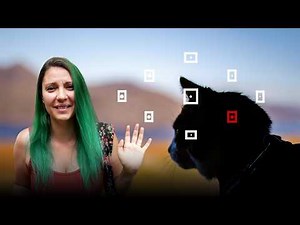 How to improve the sharpness of your photos, thanks to collimators!