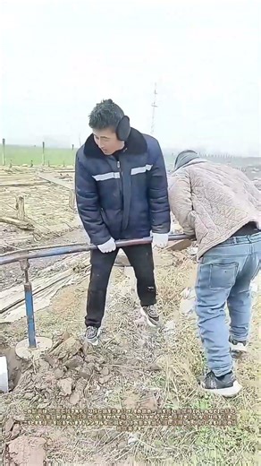 二人の体重を懸けて：てこの原理で地中の切り株に挑む