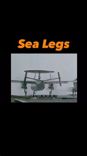 F-14 Tomcat ATG Podcast on Instagram: "Welcome aboard USS Nimitz, It’s 1980, the ship is back from the time warp (Final Countdown) and 84 & 41 needed some well earned shore duty, so it’s 32 & 41. This is some of the best naval history being made and it is why it’s called the Golden Age of Naval Aviation… Each airframe is unmatched in its mission profile. They were uniquely designed for the task at hand, working together thru data link they could hand off Intel in silence. They all protected each