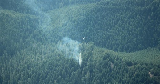Douglas County forest crews swiftly contain lightning-sparked fires near Glide, Oakland
