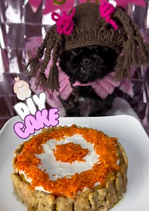 283K views · 4.8K reactions | Nawal@ sa sarili si batang anino dahil sa DIY cake for d0gs  | Furmom Kristal Maya | Facebook