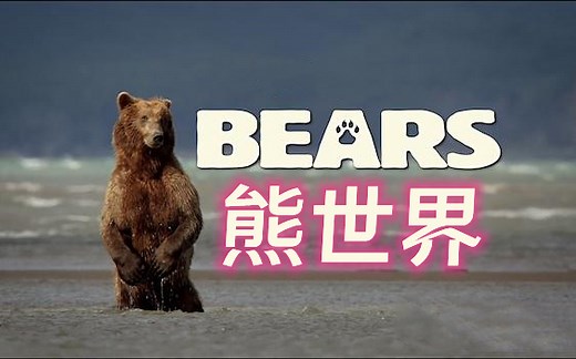 【纪录片】熊世界/阿拉斯加的棕熊 (2014)中英双语字幕 纪录一个棕熊家庭在一年四季变换中的生活点滴