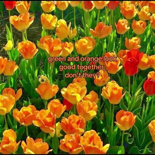 Exploring the Colors Green and Orange in Anime Aesthetics