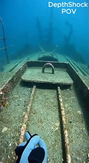 "Exploring a deep shipwreck... everything looked quiet until I opened this door. 🚪 The moment this shark burst out, my heart stopped! 😨 Watch till the end to see the escape! 🦈💨 . . #MarineLife #SharkLover #WreckDiving #ScaryMoments #DepthShockPOV" | DepthShock POV