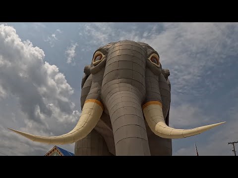 Meet the caregiver of New Jersey’s iconic Lucy the Elephant. This is love.
