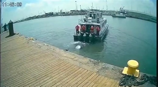 Boat Propeller Hits Metal – Sparks Fly on CCTV! Midday calm at the river port turns tense as a propeller strikes metallic debris — bright underwater flashes and sudden panic from the crew. Real reaction, real danger, pure CCTV realism. #CCTVFootage #CaughtOnCamera #BoatAccident #PropellerFail #HarborFootage #RiverPort #CinematicCCTV #RealFootage #SurveillanceVideo #DocksideCamera #ViralFootage #RealisticScenes #BoatFails #WaterAccidents #MaritimeIncident #CCTVClips #ExtremeMoments #CaughtInActio