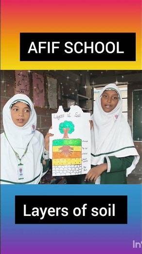 layers of soil activity