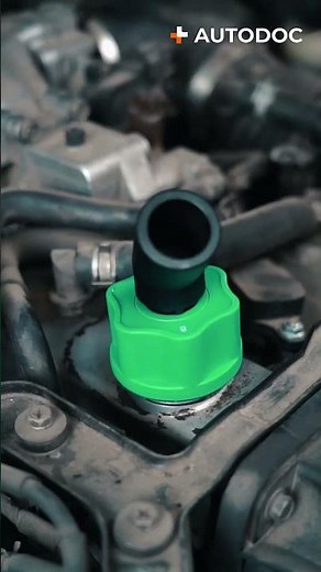 How to top up motor oil with a funnel kit | AUTODOC #shorts