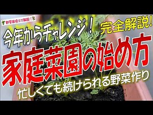 家庭菜園の始め方【誰でも簡単！気軽に始められる野菜作り】