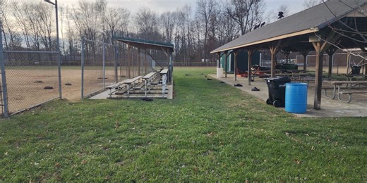 Over 70 dead vultures found at Amelia school believed to have bird flu