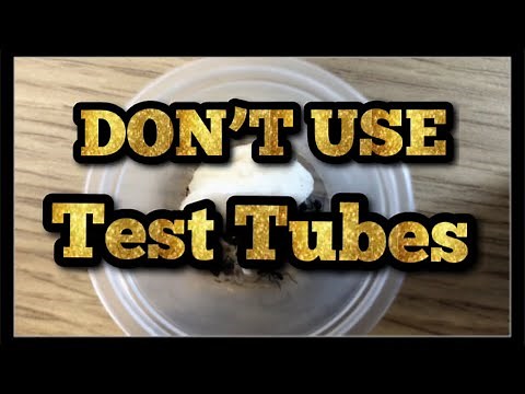 The Best Test Tube Replacement For Ant Keeping